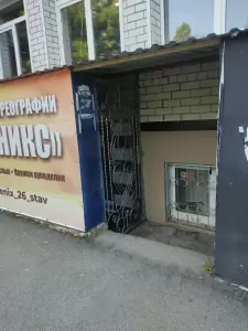 Фотография Феникс 1