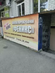 Фотография Феникс 2